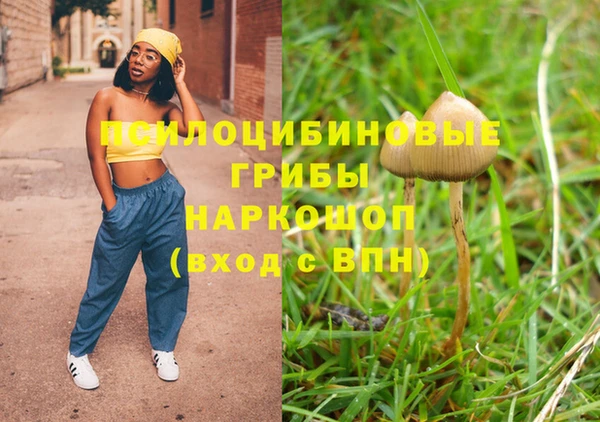 mix Надым