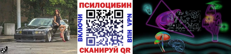Псилоцибиновые грибы MAGIC MUSHROOMS  купить наркоту  Зеленодольск 