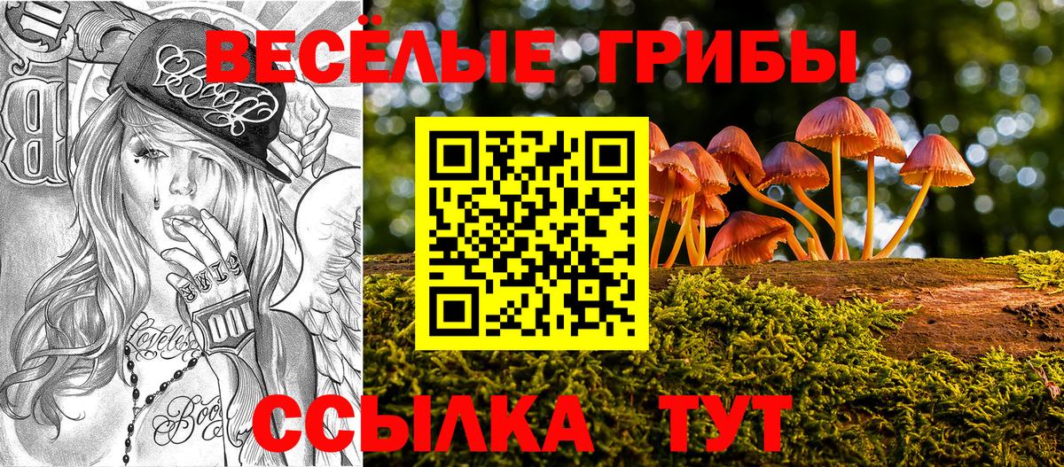 Зеленодольск  Псилоцибиновые грибы прущие грибы  купить наркотик  Вход с VPN 